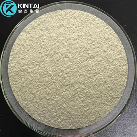 omega-9 powder wholesale